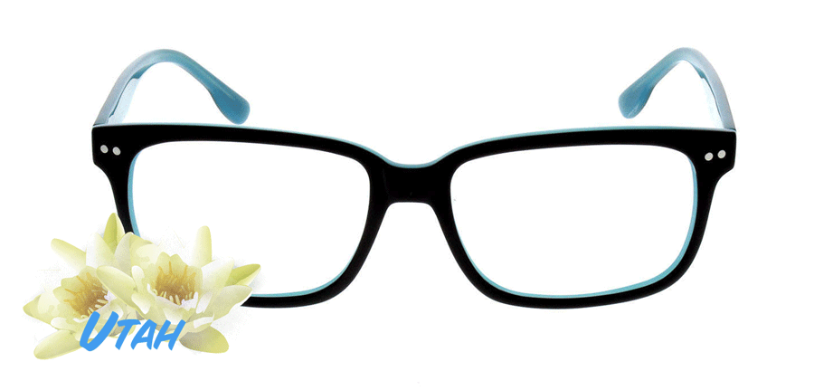 popular eyeglasses 2015