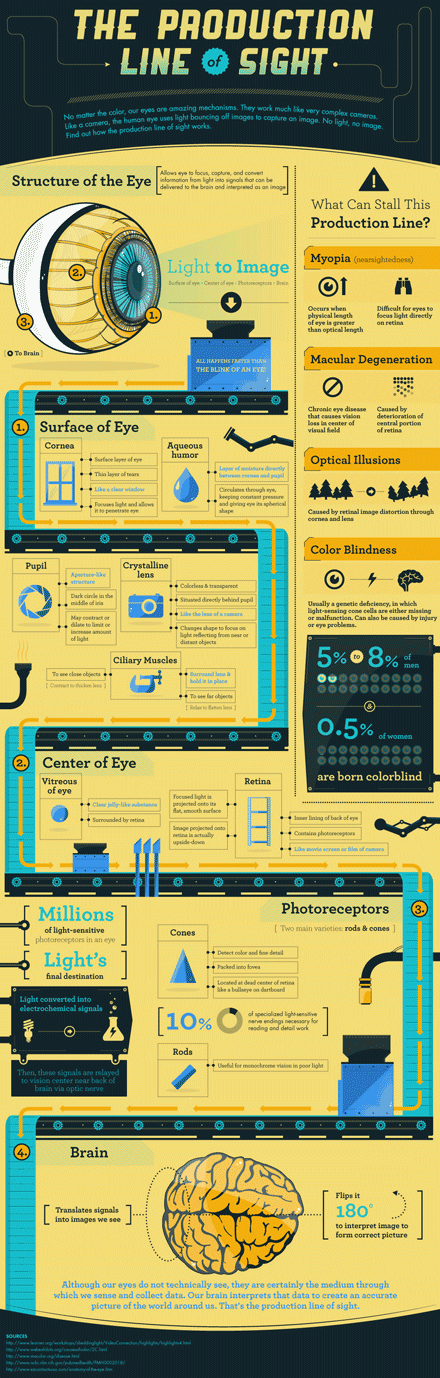 The Production Line of Sight. Structure of the Eye. Light to Image. Surface of Eye, Center of Eye, Brain. Myopia, Macular Degeneration, Optical Illusions. Color Blindness: 5%-8% of men, 0.5% of women.