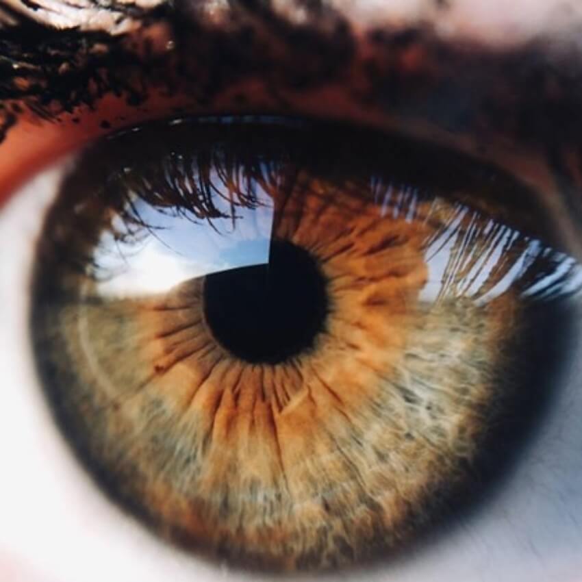 Amber and Hazel Eyes: Unraveling the Mysteries of These Unique Eye