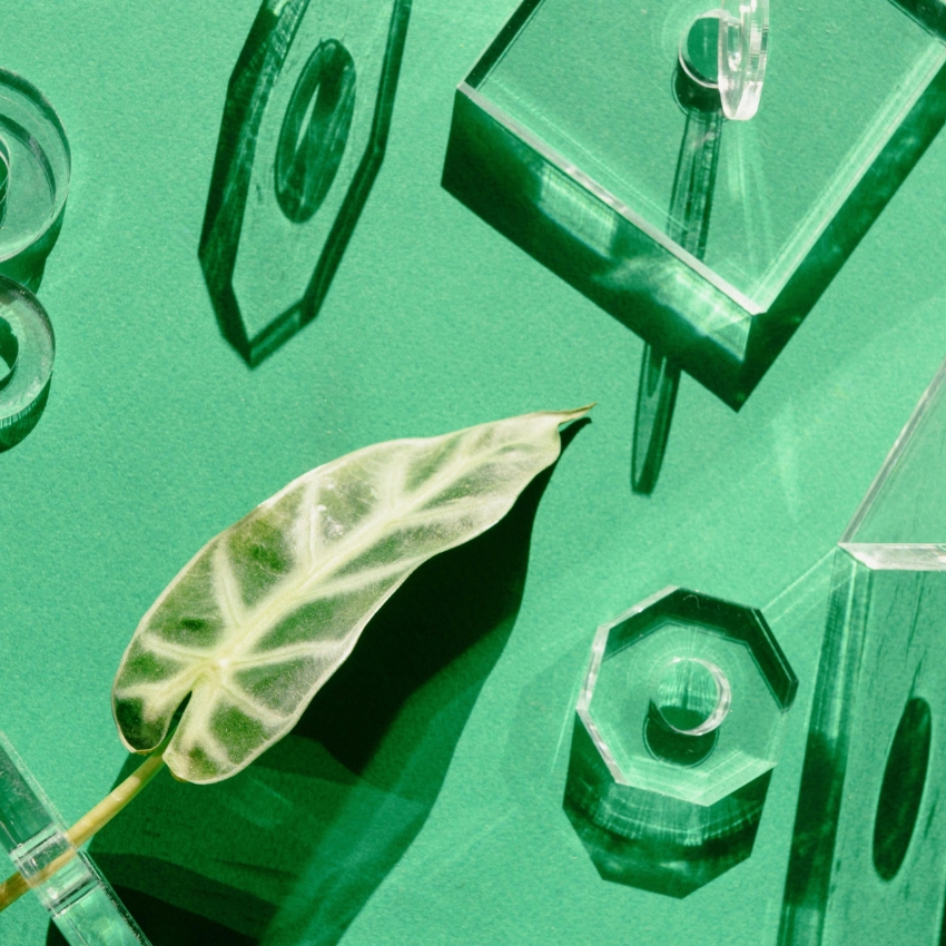 Single green leaf surrounded by clear, geometric acrylic shapes with a green background.