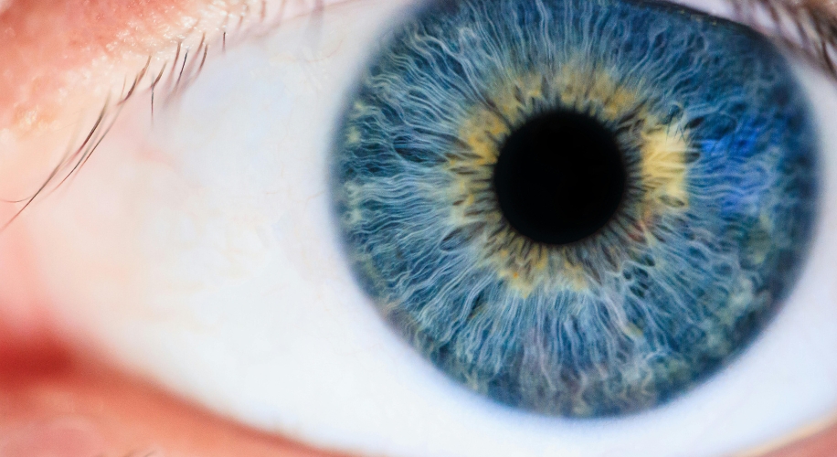 Keeping Your Eyes on Health: The Importance of Year-Round Eye Care