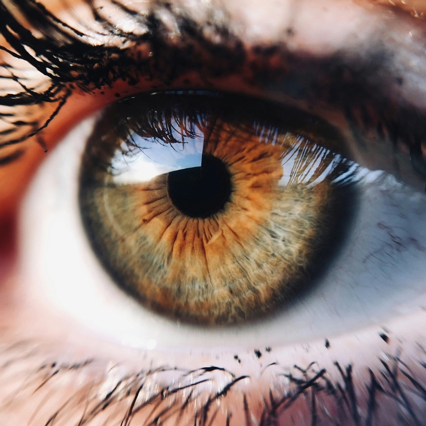 Close-up of a brown and hazel eye with detailed iris and eyelashes.