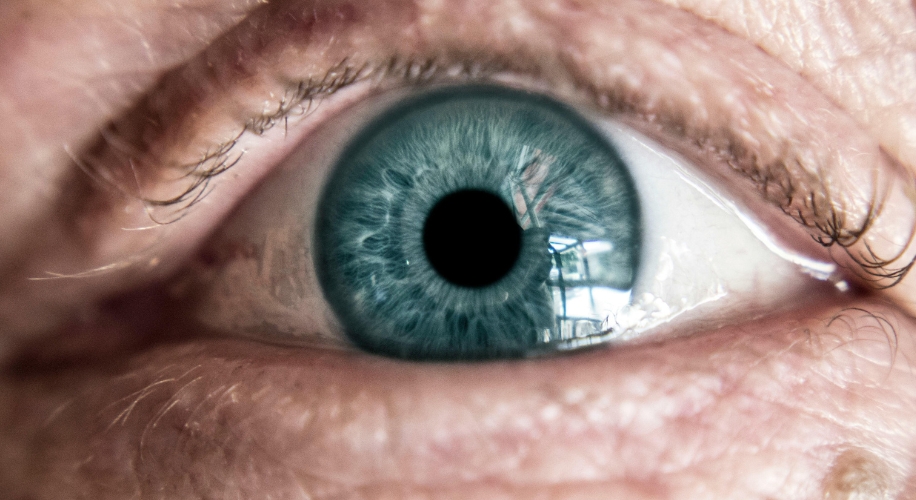 Ocular Papilloma: What You Need to Know