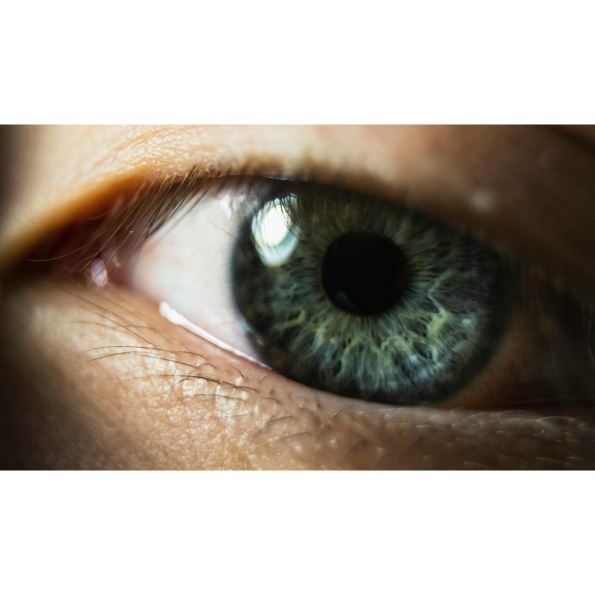 Close-up of a green and hazel eye with detailed iris.