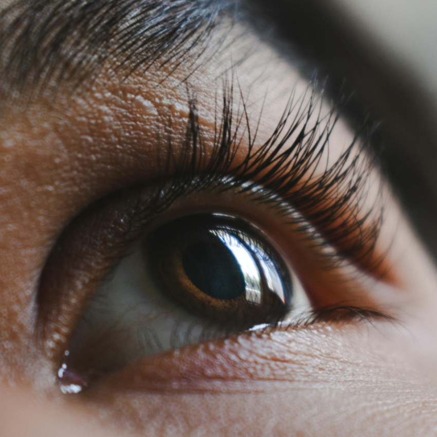 Close-up of a brown eye with long eyelashes.