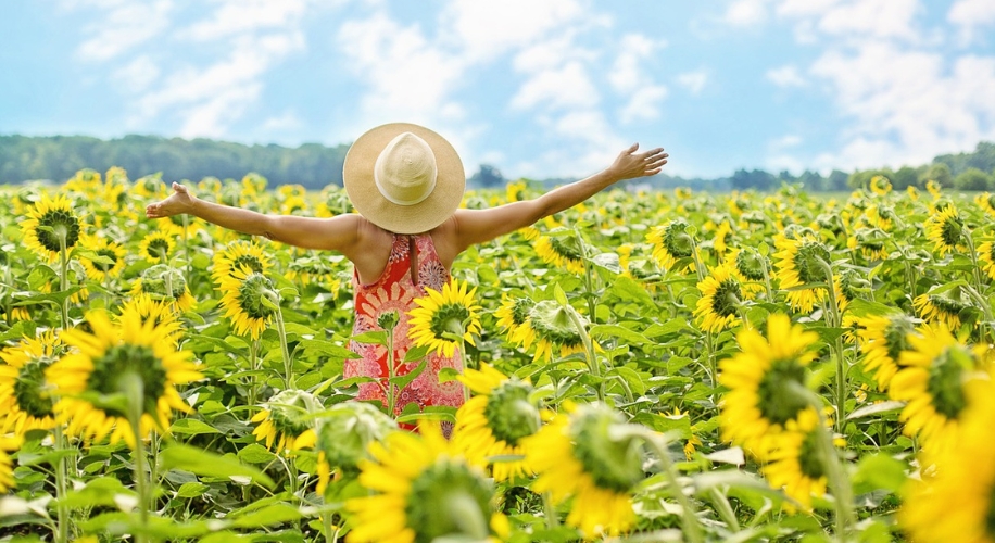 Woman in sunflower field on a sunny day