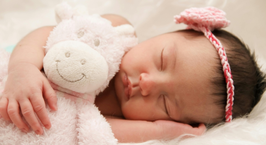 Baby sleeping with a pink stuffed animal and wearing a pink headband with a flower.