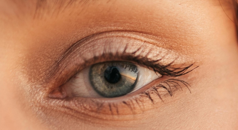 Close-up of a green eye with long eyelashes and neutral eyeshadow.