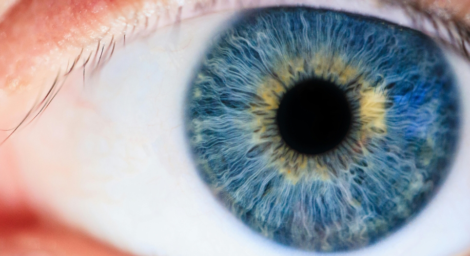 Close-up of a blue and hazel iris with detailed patterns radiating from the pupil.