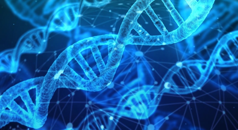 Blue 3D DNA strands with a digital network background.