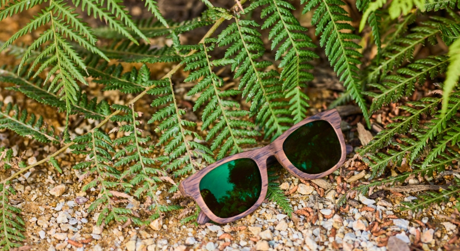 Wooden frame sunglasses with green lenses placed on the ground amidst green ferns and rocks.