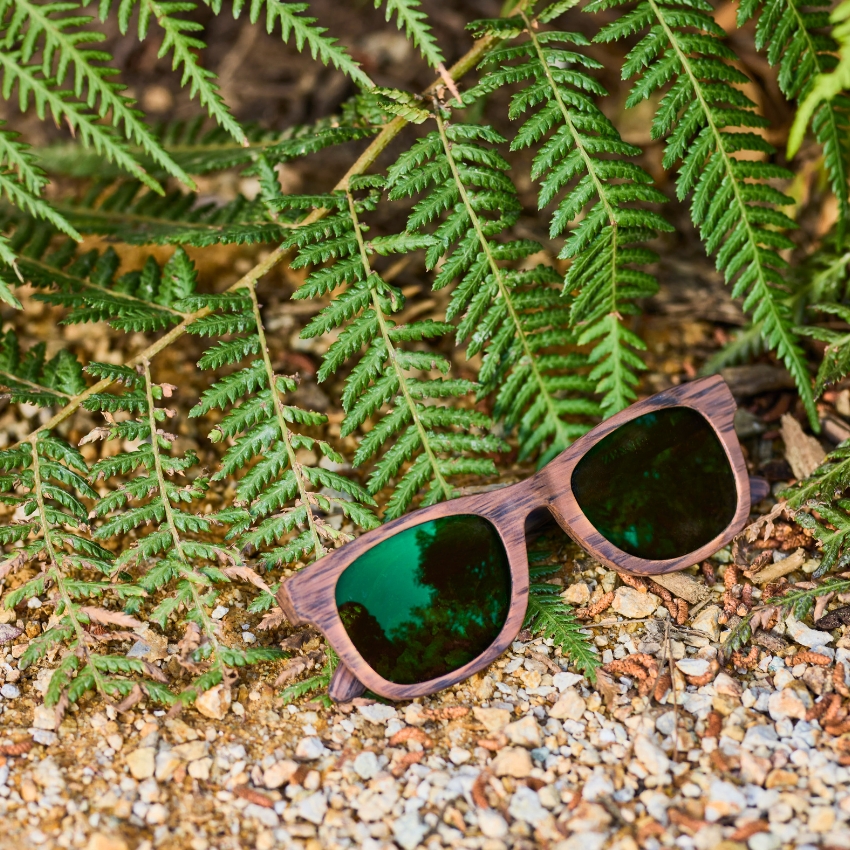 Dark green lens wooden sunglasses on gravel next to fern leaves.