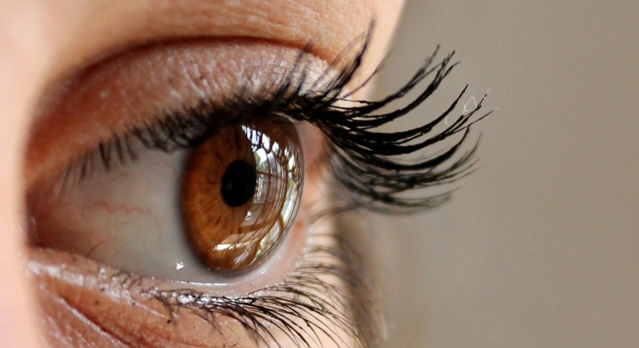 Close-up of a brown eye with long, curled eyelashes.