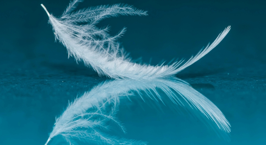 White feather lying on a reflective blue surface.