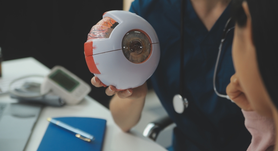 Model of a human eye held by a person in a medical uniform with a stethoscope around their neck.