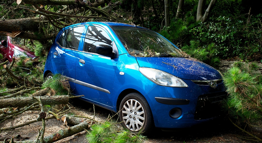 Blue car damaged by fallen tree branches.