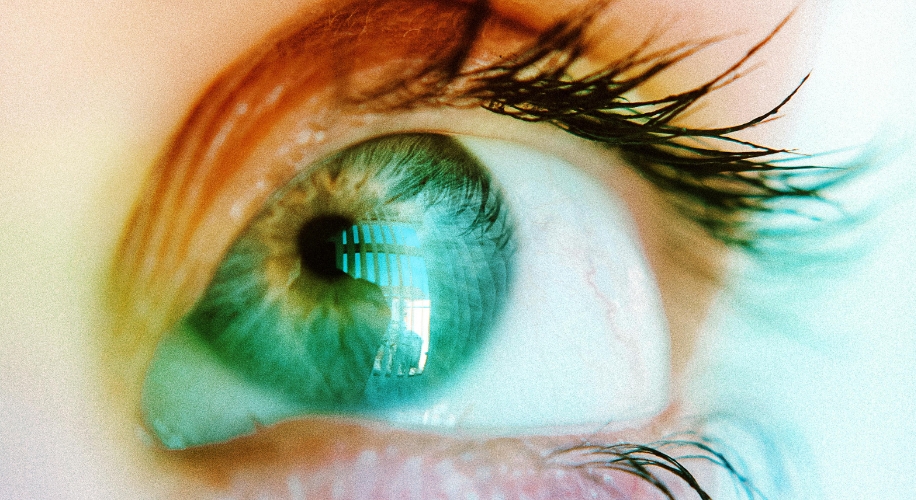 Close-up of a green eye with long eyelashes. A reflection of a building with vertical lines is visible in the eye.