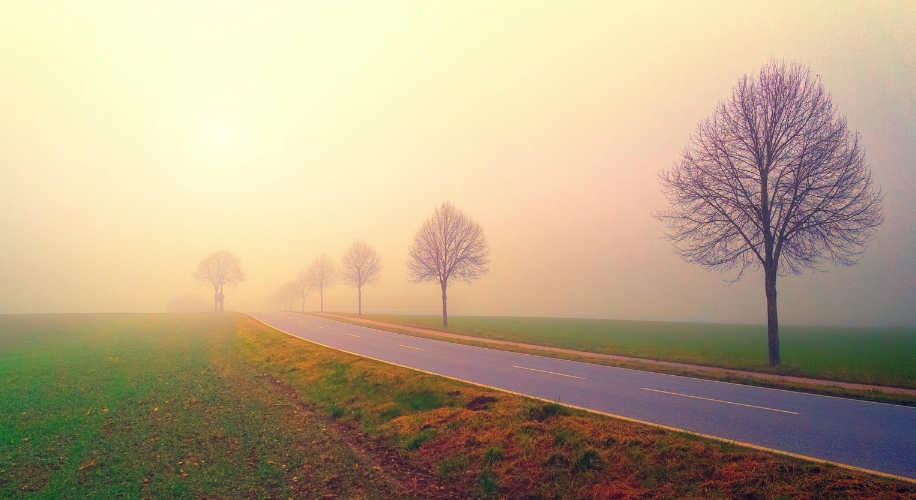 A winding road with leafless trees on either side, fading into a misty, pastel-colored horizon.