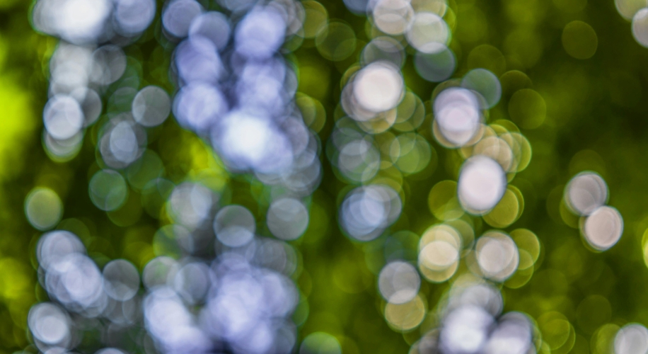 Abstract bokeh with green, blue, and white blurred light circles.